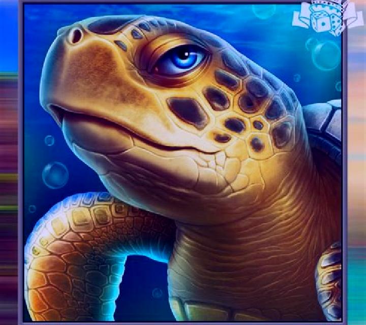 Sea Turtle slot game