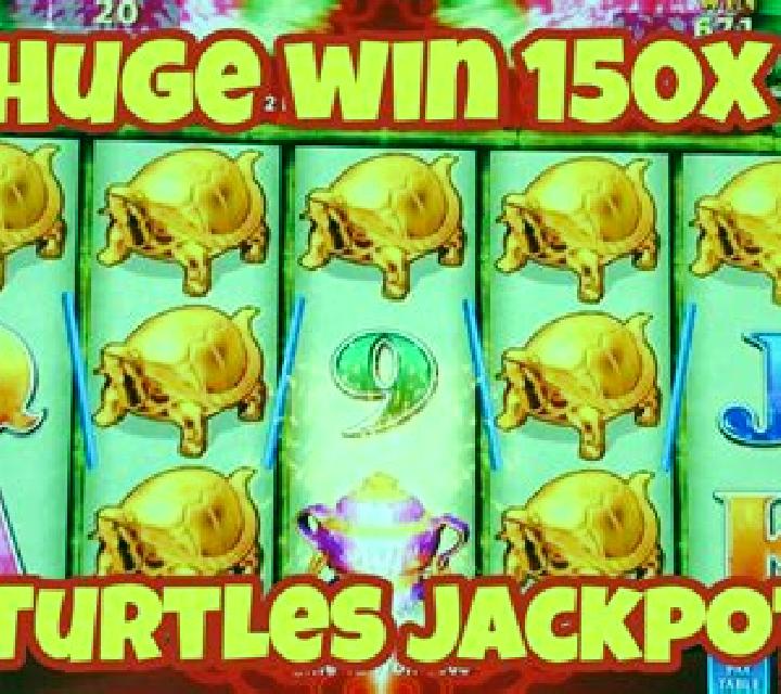 Sea Turtle slot machine
