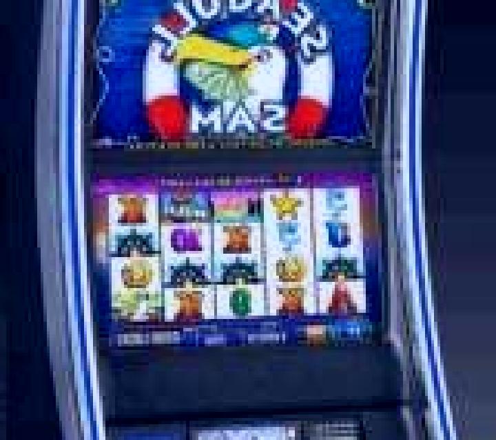 Seagull slot machine