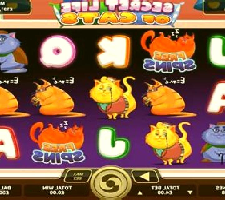 Secret Life of Cats slot game