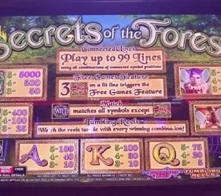 Secrets Of The Forest slot game