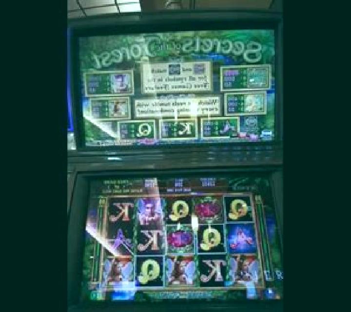 Secrets Of The Forest slot machine