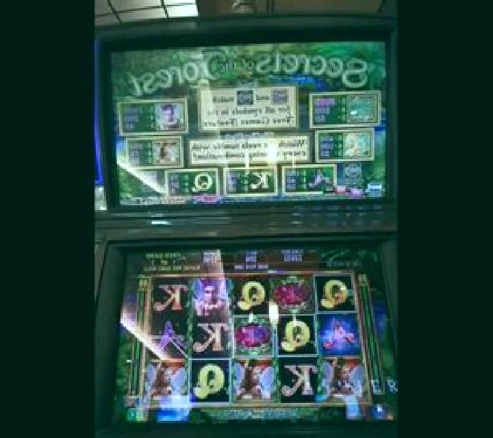 Secrets Of The Forest slot