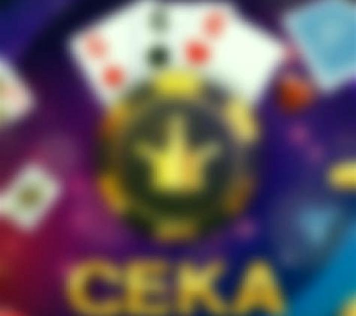 Seka slot game