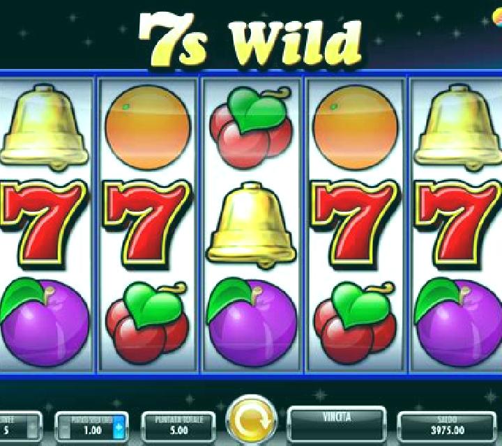 Seven & Wild slot