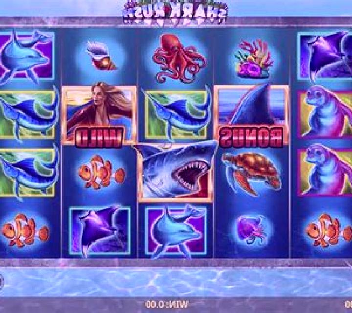Shark Rush online slot