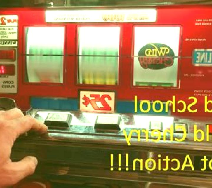 Shark School slot machine
