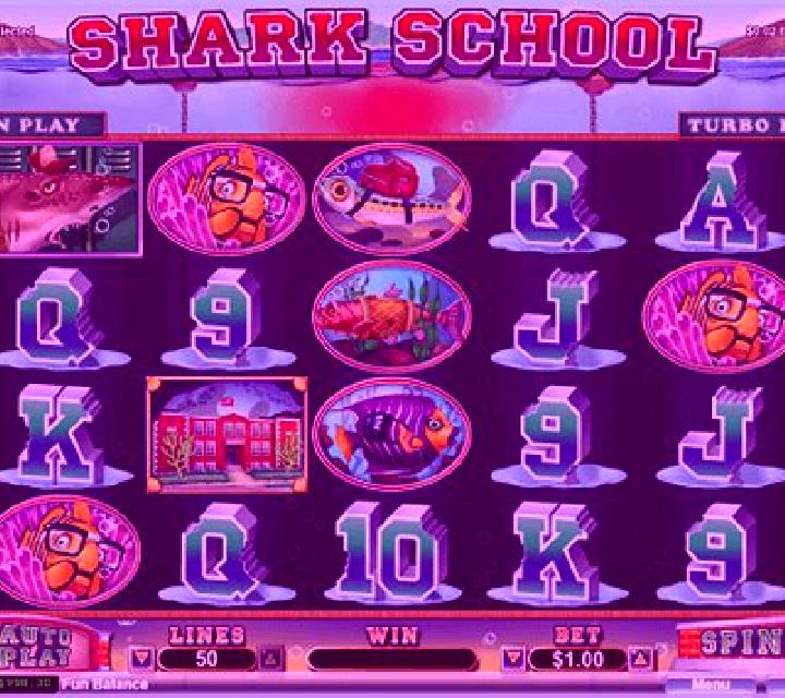 Shark School slot