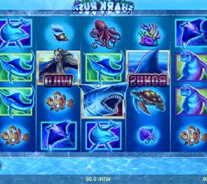 Shark! slot