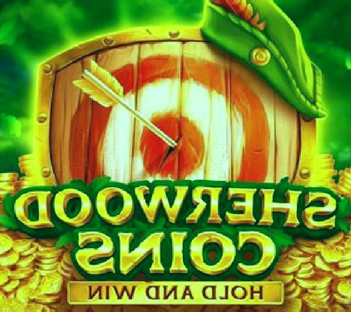 Sherwood Coins: Hold and Win slot game