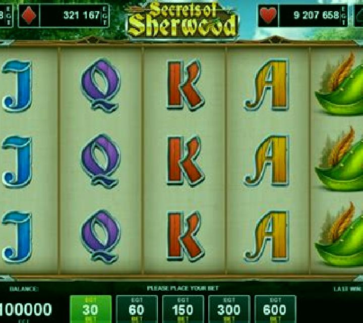 Sherwood Reels slot game