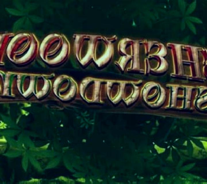 Sherwood Showdown slot