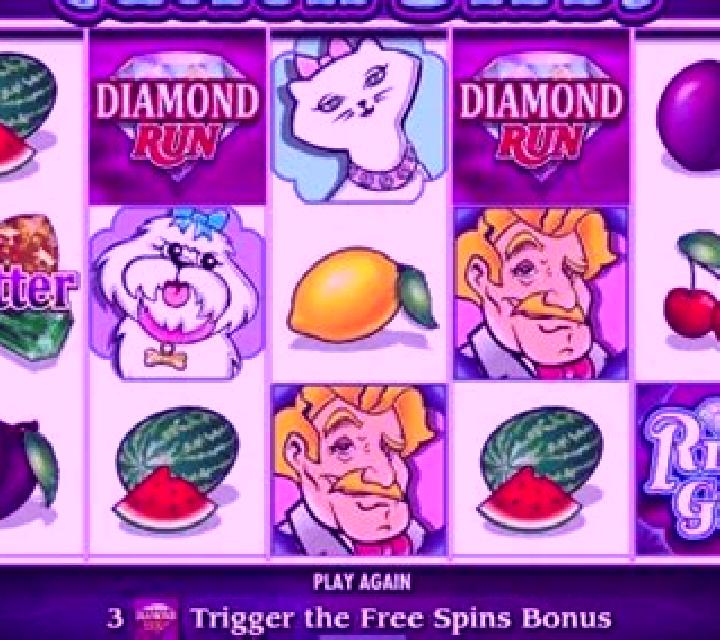 She s a Rich Girl slot