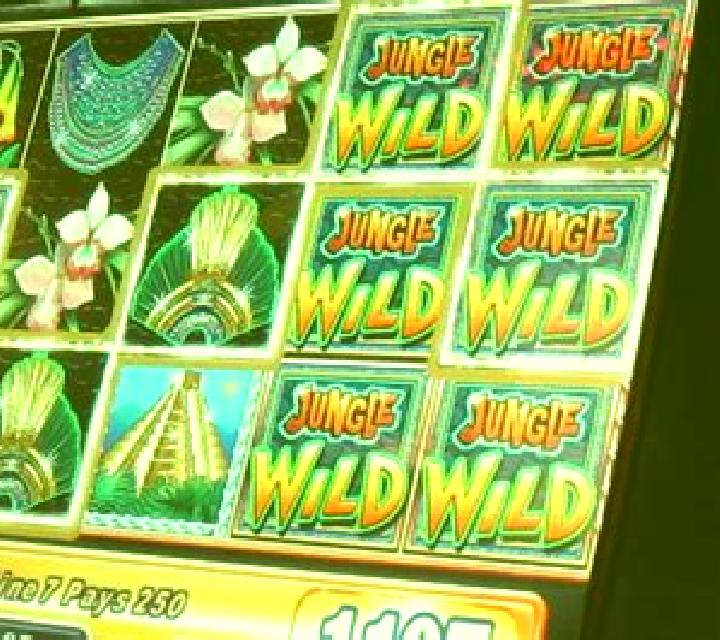 Shocking Wild slot machine