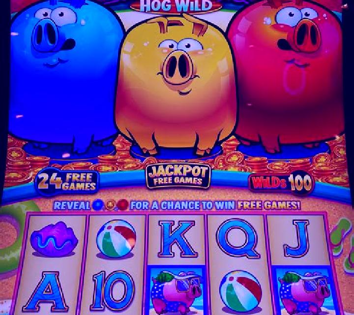 Shoot Piggy slot machine