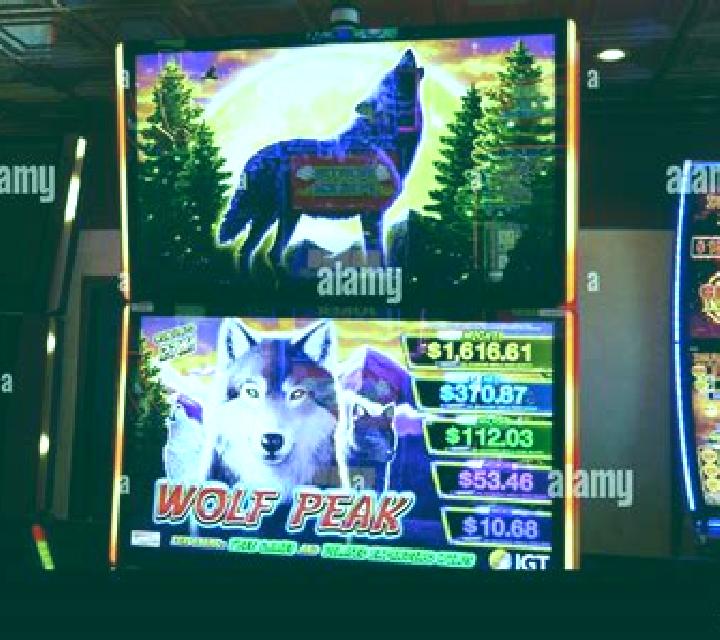 Siberian Wolves slot machine