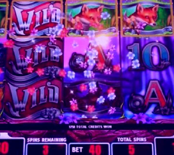 Silver Fox slot machine