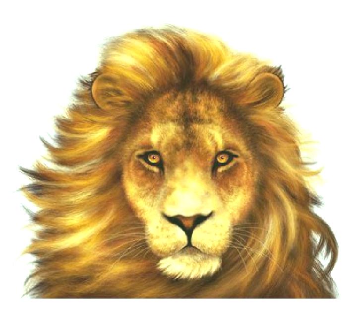Simba online slot