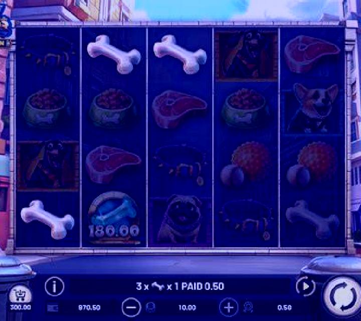 Sky Dogs slot game