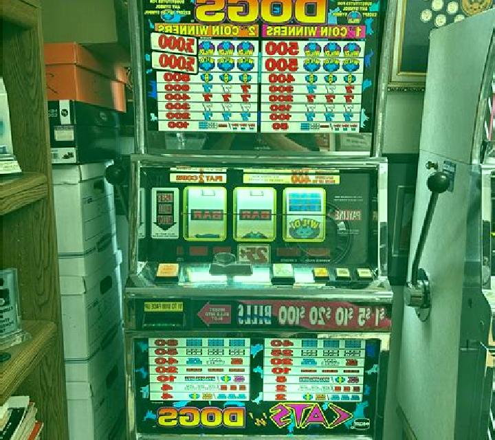 Sky Dogs slot machine