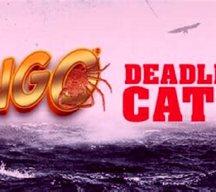 Slingo Deadliest Catch slot game
