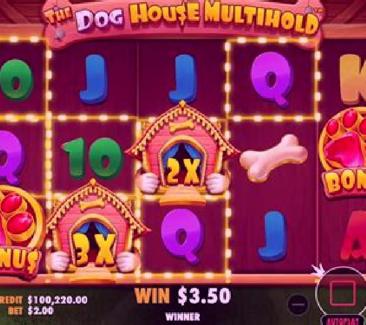 Slingo Full House slot game