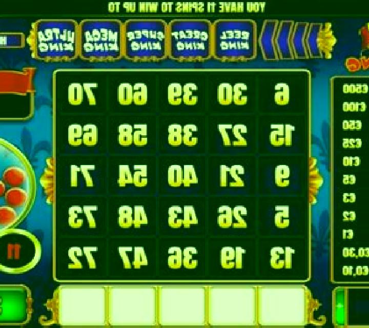 Slingo Gala Bingo online slot