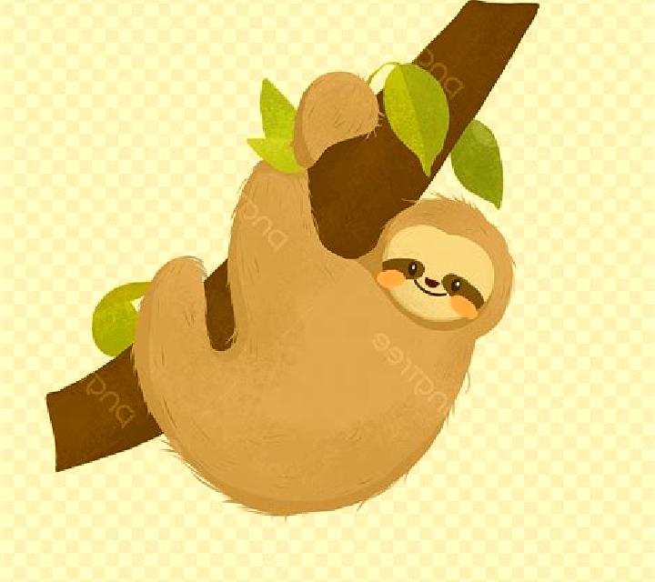 Sloth slot