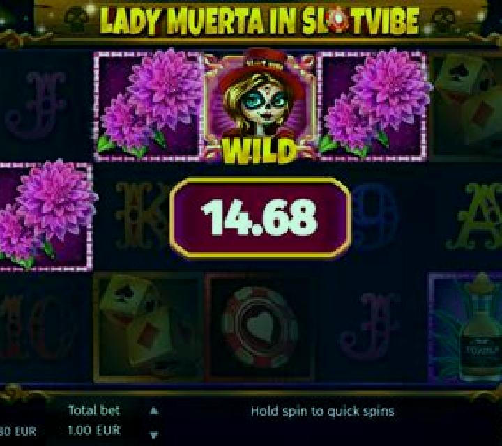 Slotvibe Muerta slot