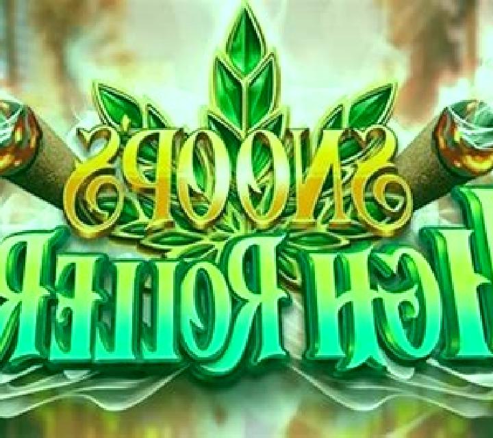 Snoop s High Rollers slot