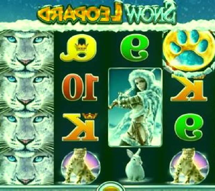 Snow Leopard slot