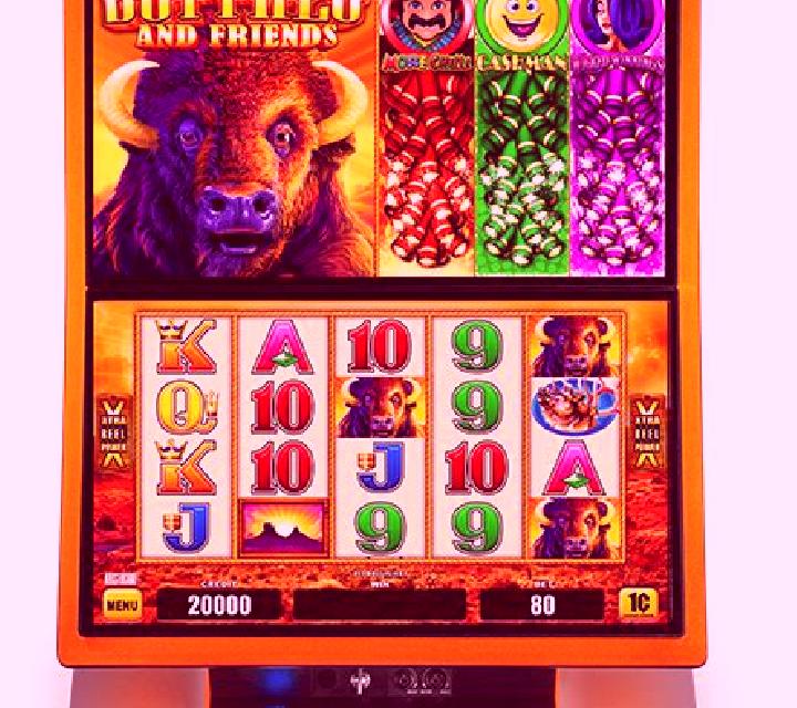 SNS Friends slot machine