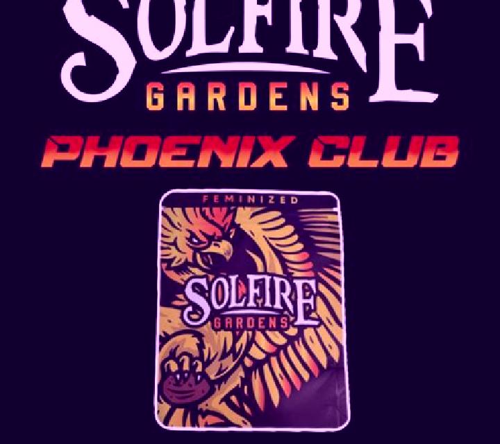 Solfire slot game