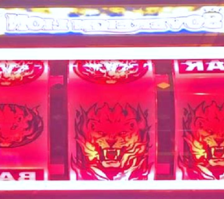 Sovereign Lion slot machine