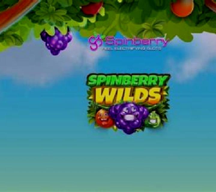 Spinberry Wilds online slot