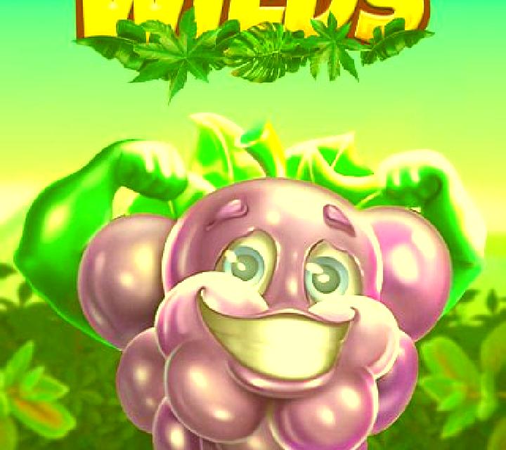 Spinberry Wilds slot game