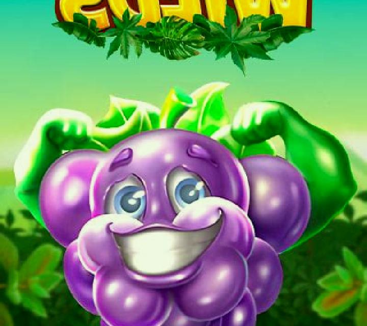 Spinberry Wilds slot machine