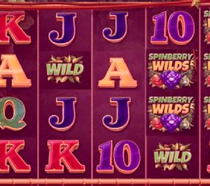 Spinberry Wilds slot