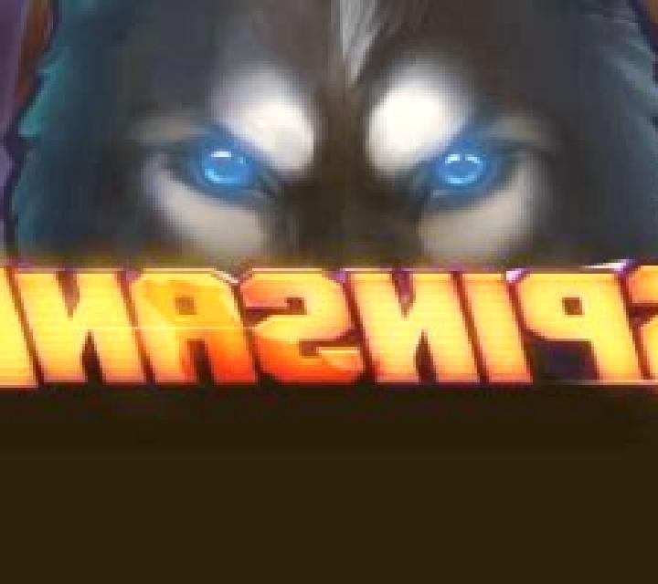 Spinsane slot game