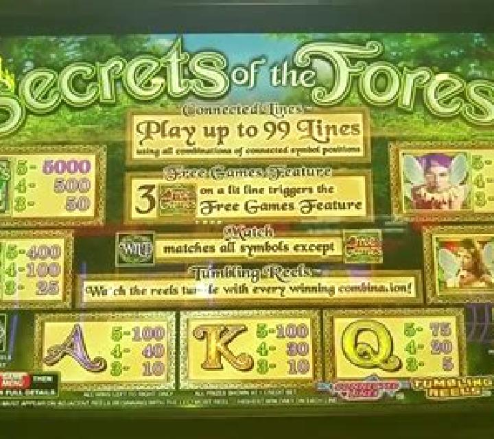 Spirit of the Forest slot game