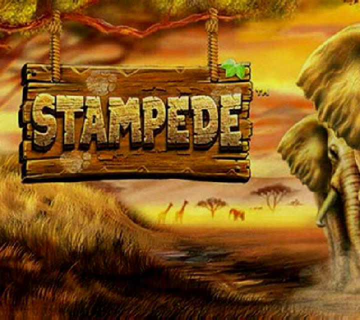 Stampede (Betsoft) slot