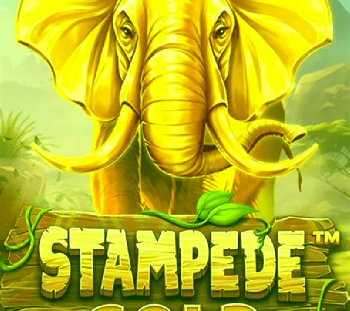 Stampede Gold slot