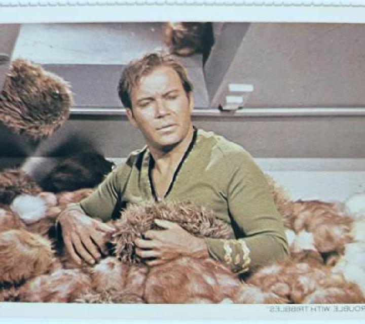 STAR TREK Trouble With Tribbles slot machine