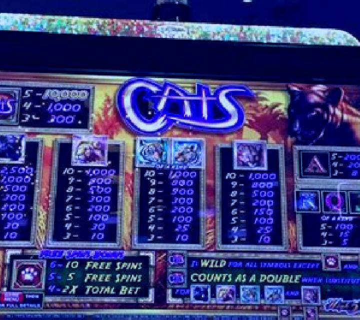 Sticky Cats slot machine