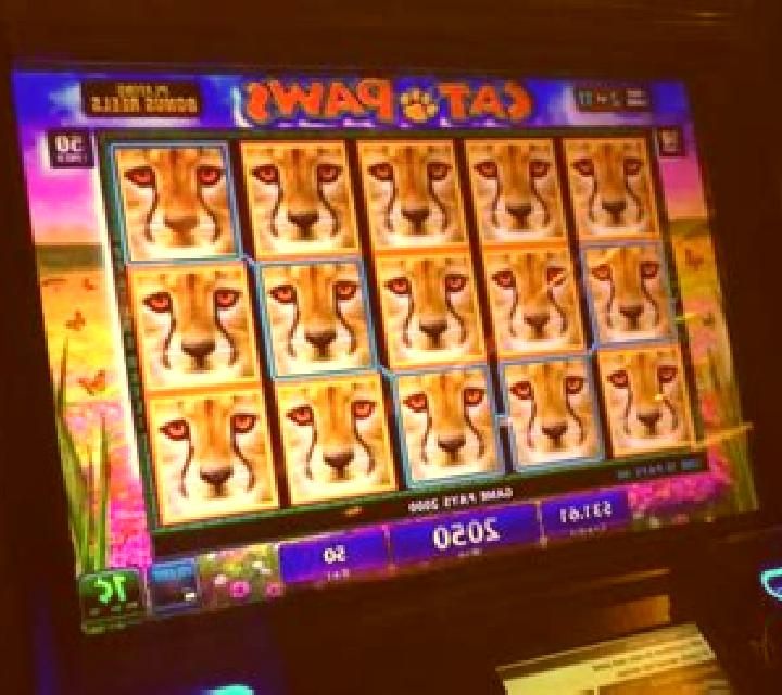 Sticky Paws slot machine