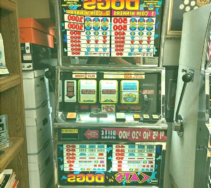 Street Dogs slot machine