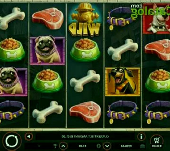 Street Dogs slot
