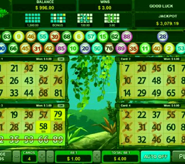 Super 30 Bingo slot machine