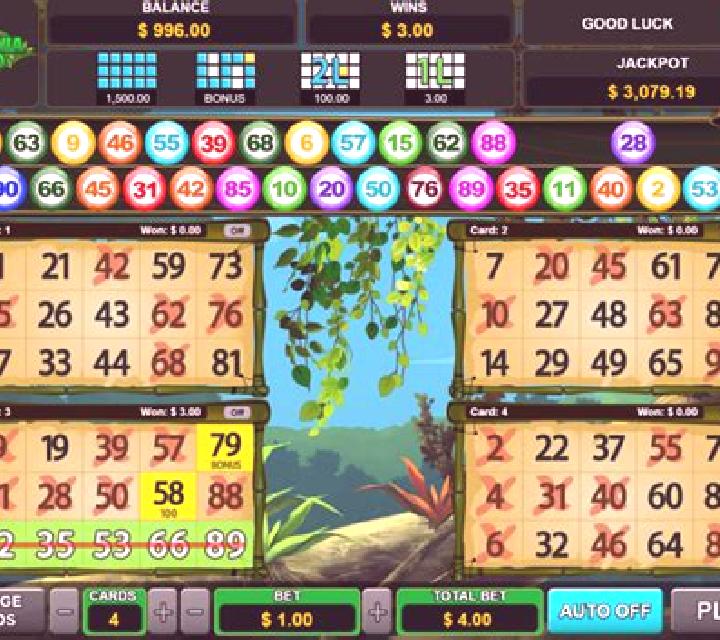 Super 30 Bingo slot