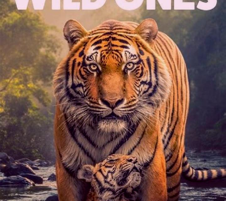 Super 7 Wild slot